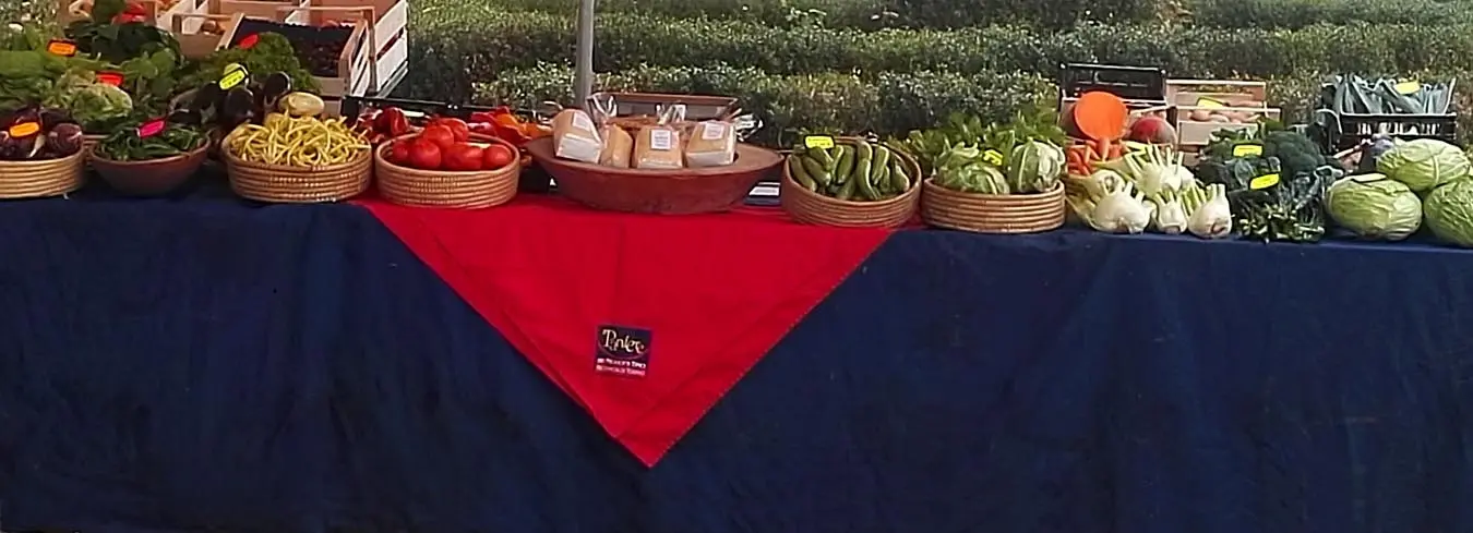 Azienda Agricola Biologica il Tasso