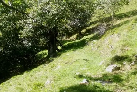 la Nostra Filosofia