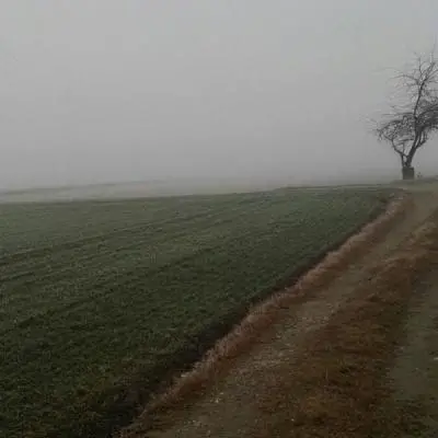 La filosofia di un agricoltore biologico