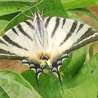 La filosofia di un agricoltore biologico
