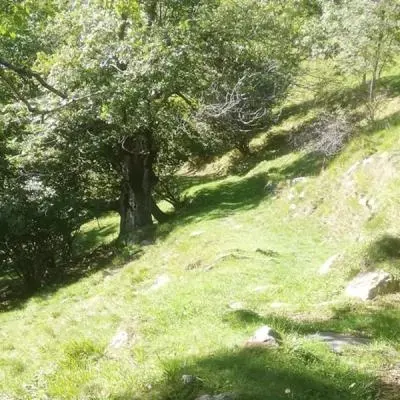 La filosofia di un agricoltore biologico